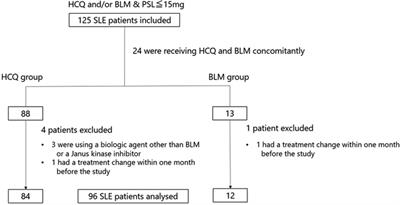 Comparative efficacy and safety of belimumab and hydroxychloroquine in the maintenance phase in patients with systemic lupus erythematosus: a retrospective cohort study